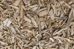 biomass boilers Waungron